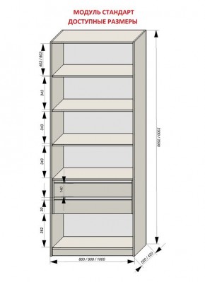 Шкаф распашной серия «ЗЕВС» (PL3/С1/PL2) в Кудымкаре - kudymkar.ok-mebel.com | фото 13