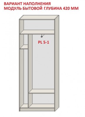 Шкаф распашной серия «ЗЕВС» (PL3/С1/PL2) в Кудымкаре - kudymkar.ok-mebel.com | фото 4