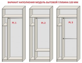 Шкаф распашной серия «ЗЕВС» (PL3/С1/PL2) в Кудымкаре - kudymkar.ok-mebel.com | фото 5