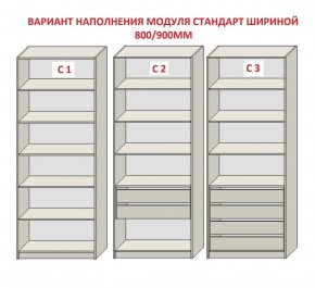 Шкаф распашной серия «ЗЕВС» (PL3/С1/PL2) в Кудымкаре - kudymkar.ok-mebel.com | фото 6