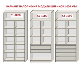 Шкаф распашной серия «ЗЕВС» (PL3/С1/PL2) в Кудымкаре - kudymkar.ok-mebel.com | фото 7