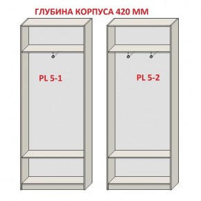 Шкаф распашной серия «ЗЕВС» (PL3/С1/PL2) в Кудымкаре - kudymkar.ok-mebel.com | фото 8