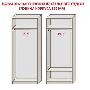 Шкаф распашной серия «ЗЕВС» (PL3/С1/PL2) в Кудымкаре - kudymkar.ok-mebel.com | фото 9