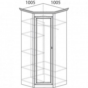 Шкаф угловой №662 "Флоренция" Фасад глухой (угол 1005*1005) Дуб оксфорд в Кудымкаре - kudymkar.ok-mebel.com | фото 3