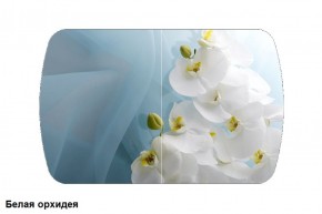 Стол Бостон 900*600 (опоры Брифинг) Стекло/фотопечать Белая Орхидея в Кудымкаре - kudymkar.ok-mebel.com | фото