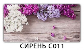 Стол раздвижной Трилогия с фотопечатью Сирень C011 в Кудымкаре - kudymkar.ok-mebel.com | фото 15