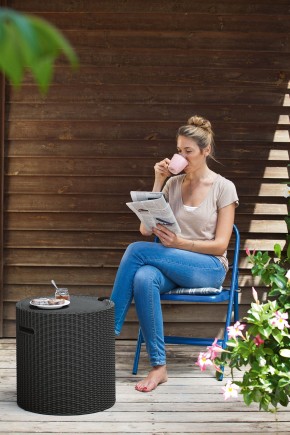 Столик-холодильник Кул-Стул (Cool stool) графит в Кудымкаре - kudymkar.ok-mebel.com | фото