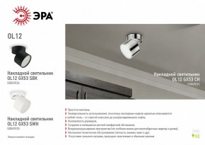 Светильник на штанге Эра OL12 GX53 SBK Б0049034 в Кудымкаре - kudymkar.ok-mebel.com | фото 5