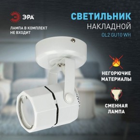 Светильник на штанге Эра OL2 GU10 WH Б0044259 в Кудымкаре - kudymkar.ok-mebel.com | фото 3