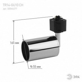 Светильник на штанге Эра  TR14-GU10 CH в Кудымкаре - kudymkar.ok-mebel.com | фото 4