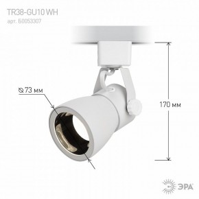 Светильник на штанге Эра  TR38-GU10 WH в Кудымкаре - kudymkar.ok-mebel.com | фото 6