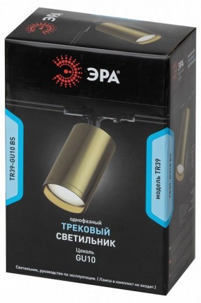 Светильник на штанге Эра  TR39-GU10 BS в Кудымкаре - kudymkar.ok-mebel.com | фото 4