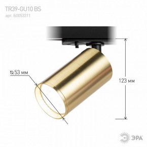 Светильник на штанге Эра  TR39-GU10 BS в Кудымкаре - kudymkar.ok-mebel.com | фото 6