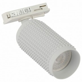 Светильник на штанге Эра  TR40-GU10 WH в Кудымкаре - kudymkar.ok-mebel.com | фото