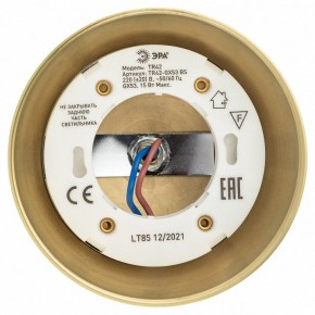 Светильник на штанге Эра  TR42-GX53 BS в Кудымкаре - kudymkar.ok-mebel.com | фото 5