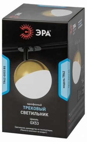 Светильник на штанге Эра  TR42-GX53 BS в Кудымкаре - kudymkar.ok-mebel.com | фото 6