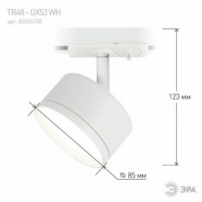 Светильник на штанге Эра  TR48 - GX53 WH в Кудымкаре - kudymkar.ok-mebel.com | фото 4