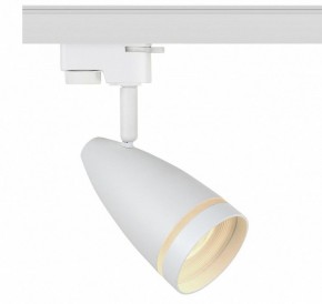Светильник на штанге Эра  TR49 - GU10 WH в Кудымкаре - kudymkar.ok-mebel.com | фото