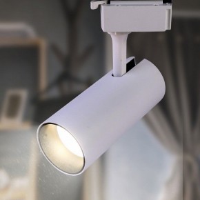 Светильник на штанге Эра  TR5-10 COB WH в Кудымкаре - kudymkar.ok-mebel.com | фото 3