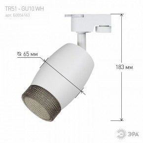Светильник на штанге Эра  TR51 - GU10 WH в Кудымкаре - kudymkar.ok-mebel.com | фото 4