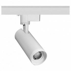 Светильник на штанге Эра  TR59 - 2030 WH в Кудымкаре - kudymkar.ok-mebel.com | фото
