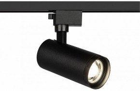 Светильник на штанге Эра  TR59 - 2040 BK в Кудымкаре - kudymkar.ok-mebel.com | фото