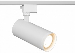 Светильник на штанге Эра  TR59 - 3030 WH в Кудымкаре - kudymkar.ok-mebel.com | фото
