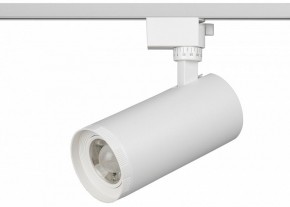 Светильник на штанге Эра  TR59 - 3030 WH в Кудымкаре - kudymkar.ok-mebel.com | фото 2