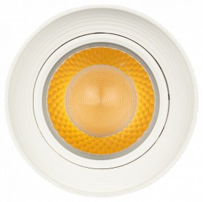 Светильник на штанге Эра  TR59 - 3030 WH в Кудымкаре - kudymkar.ok-mebel.com | фото 3