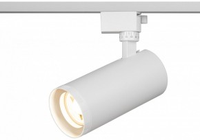 Светильник на штанге Эра  TR59 - 3030 WH в Кудымкаре - kudymkar.ok-mebel.com | фото 5
