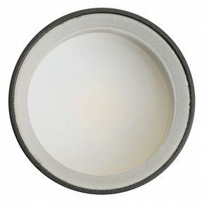 Светильник на штанге Feron ML1001 51371 в Кудымкаре - kudymkar.ok-mebel.com | фото 4