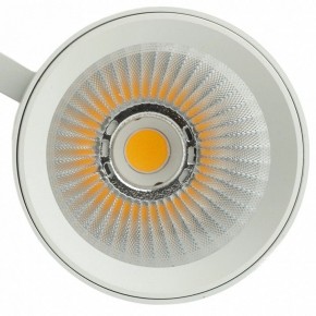 Светильник на штанге Feron TR Reflex 52058 в Кудымкаре - kudymkar.ok-mebel.com | фото 12