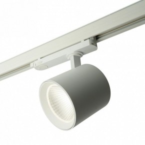 Светильник на штанге Feron TR Reflex 52058 в Кудымкаре - kudymkar.ok-mebel.com | фото 9