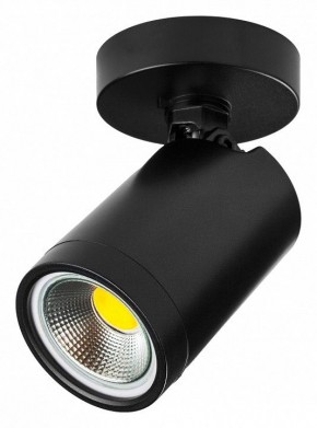 Светильник на штанге Lightstar Rullo 213407 в Кудымкаре - kudymkar.ok-mebel.com | фото