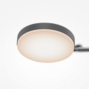 Светильник на штанге Maytoni Fad MOD070CL-L15B3K1 в Кудымкаре - kudymkar.ok-mebel.com | фото 7