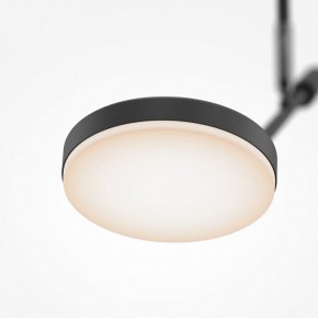 Светильник на штанге Maytoni Fad MOD070CL-L8B3K в Кудымкаре - kudymkar.ok-mebel.com | фото 4