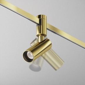 Светильник на штанге Maytoni Focus Led TR144-1-5W4K-W-BS в Кудымкаре - kudymkar.ok-mebel.com | фото 2