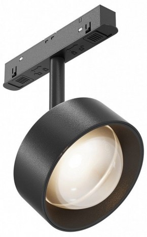 Светильник на штанге Maytoni Lens TR217-2-15W3K-B в Кудымкаре - kudymkar.ok-mebel.com | фото