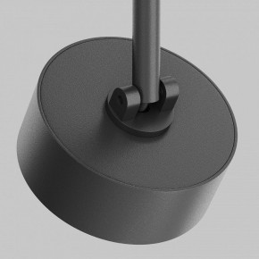 Светильник на штанге Maytoni Lens TR217-2-15W3K-B в Кудымкаре - kudymkar.ok-mebel.com | фото 11
