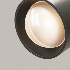 Светильник на штанге Maytoni Lens TR217-2-15W3K-B в Кудымкаре - kudymkar.ok-mebel.com | фото 12