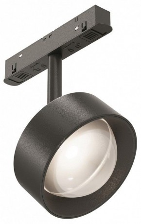 Светильник на штанге Maytoni Lens TR217-2-15W4K-B в Кудымкаре - kudymkar.ok-mebel.com | фото
