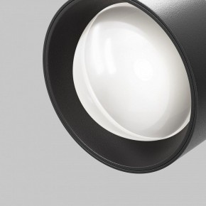 Светильник на штанге Maytoni Lens TR217-2-15W4K-B в Кудымкаре - kudymkar.ok-mebel.com | фото 10