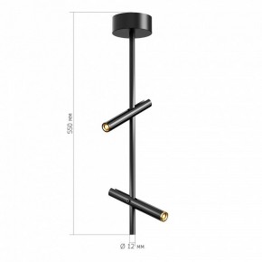 Светильник на штанге ST-Luce LILT SL6210.403.02 в Кудымкаре - kudymkar.ok-mebel.com | фото 3