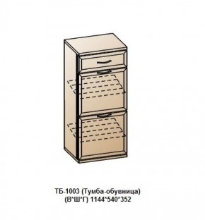 ТБ-1003 (Тумба-обувница) в Кудымкаре - kudymkar.ok-mebel.com | фото