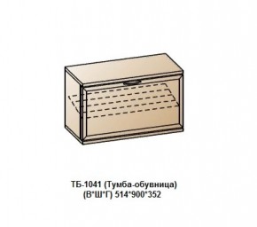 ТБ-1041 (Тумба-обувница) в Кудымкаре - kudymkar.ok-mebel.com | фото