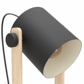 Торшер Eglo HORNWOOD 43521 в Кудымкаре - kudymkar.ok-mebel.com | фото 4