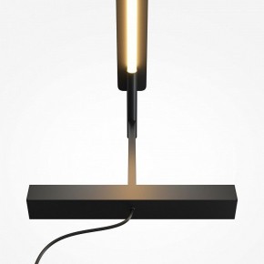 Торшер Maytoni Combo MOD214FL-L20B3K в Кудымкаре - kudymkar.ok-mebel.com | фото 6