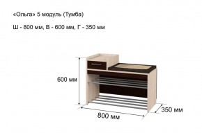 ОЛЬГА 5 Тумба в Кудымкаре - kudymkar.ok-mebel.com | фото 3