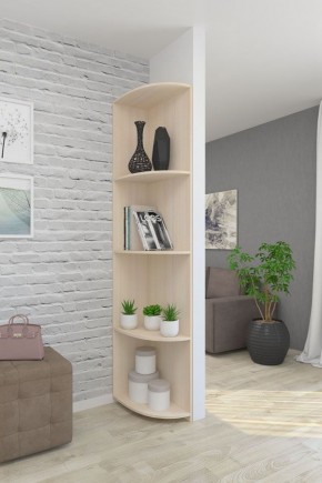 Угловой элемент ЛДСП 1 кат. в Кудымкаре - kudymkar.ok-mebel.com | фото 4