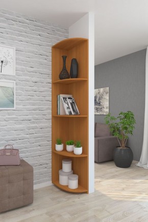 Угловой элемент ЛДСП 1 кат. в Кудымкаре - kudymkar.ok-mebel.com | фото 6